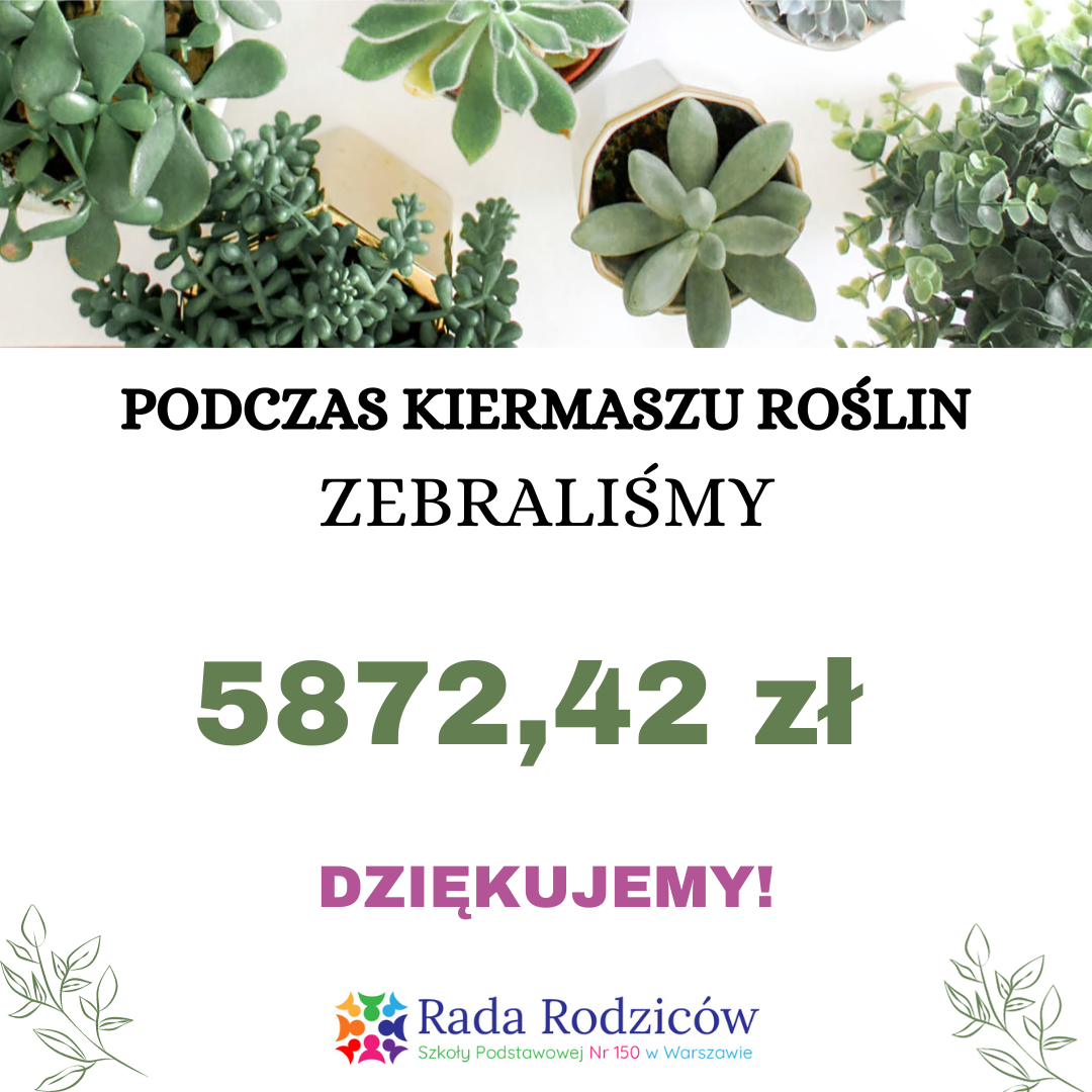 Read more about the article Wielki Sukces Kiermaszu Roślin