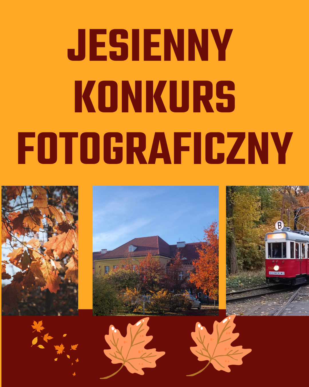 Read more about the article Jesień na Boernerowie. Konkurs fotograficzny dla klas 1-3.